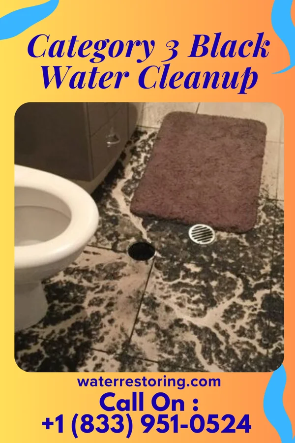 Category 3 Black Water Cleanup in Bath, IL