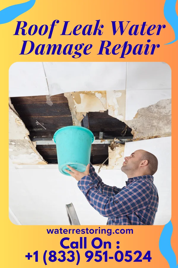 Roof Leak Water Damage Repair in Bath, IL
