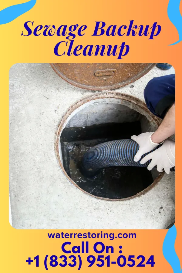 Sewage Backup Cleanup in Bath, IL